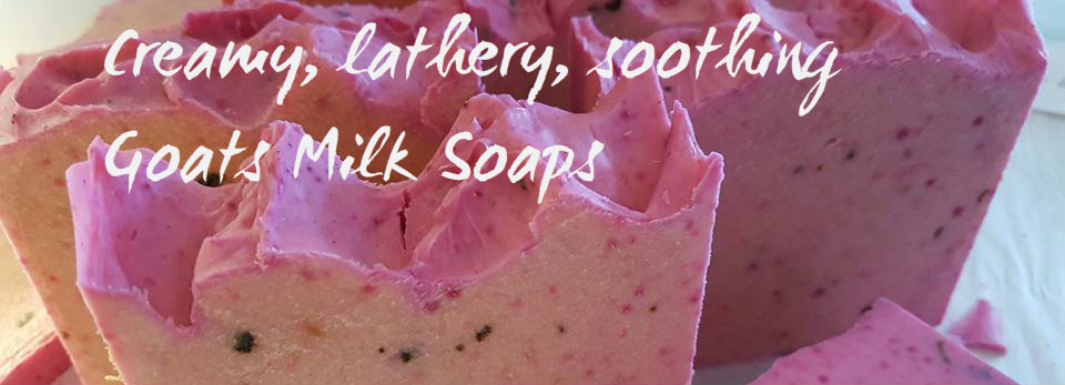 goatsmilk-soap-banner.jpg goatsmilk-soap-banner.jpg